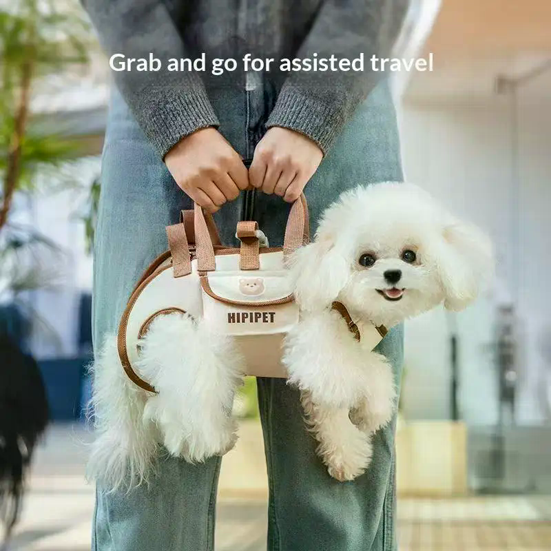 Portable Pets Outdoor Carrying – Edc Carry Clip Bewertung und Preis