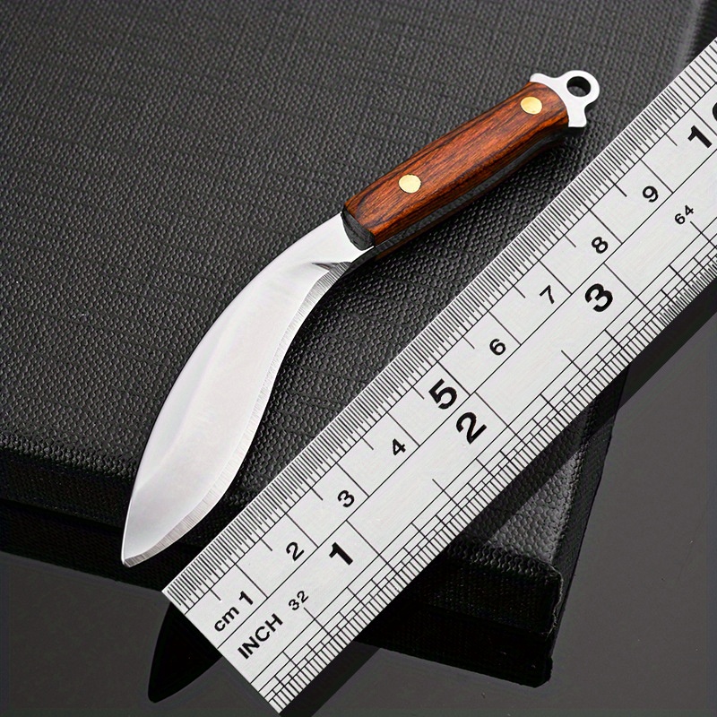 Mini Portable Sharp Fruit Knif – Edc Fixed Blade Deep Carry Bewertung und Preis
