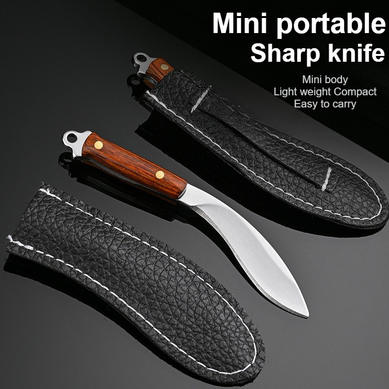 Mini Portable Sharp Fruit Knif – Edc Fixed Blade Deep Carry Bewertung und Preis